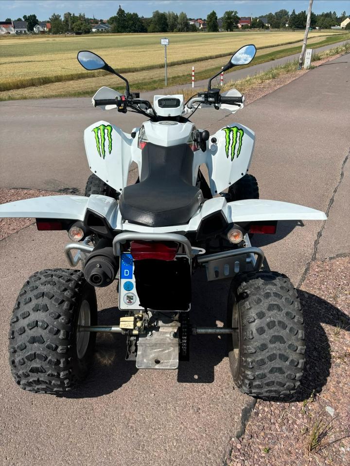 Weitere Motorräder Triton Baja 300 – Zuverlässiges ATV/ Quad mit nur 6.712 km 2012 — двигун 280 ccm
