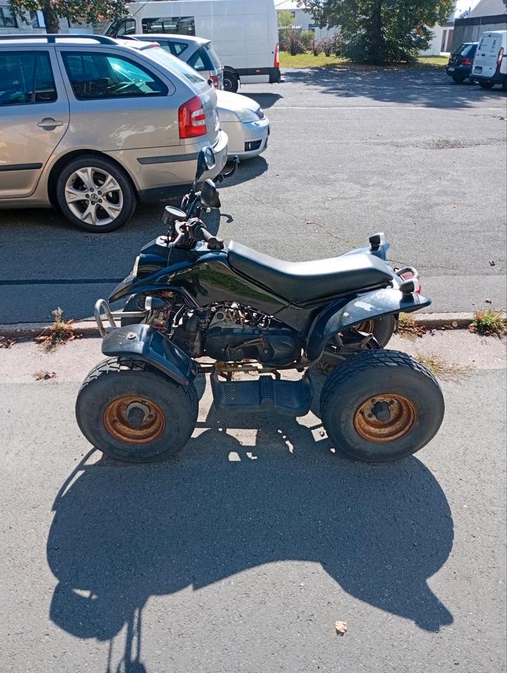 Weitere Motorräder Gelöscht • Rex Aspen Quad 45km/h 2012 — rear view