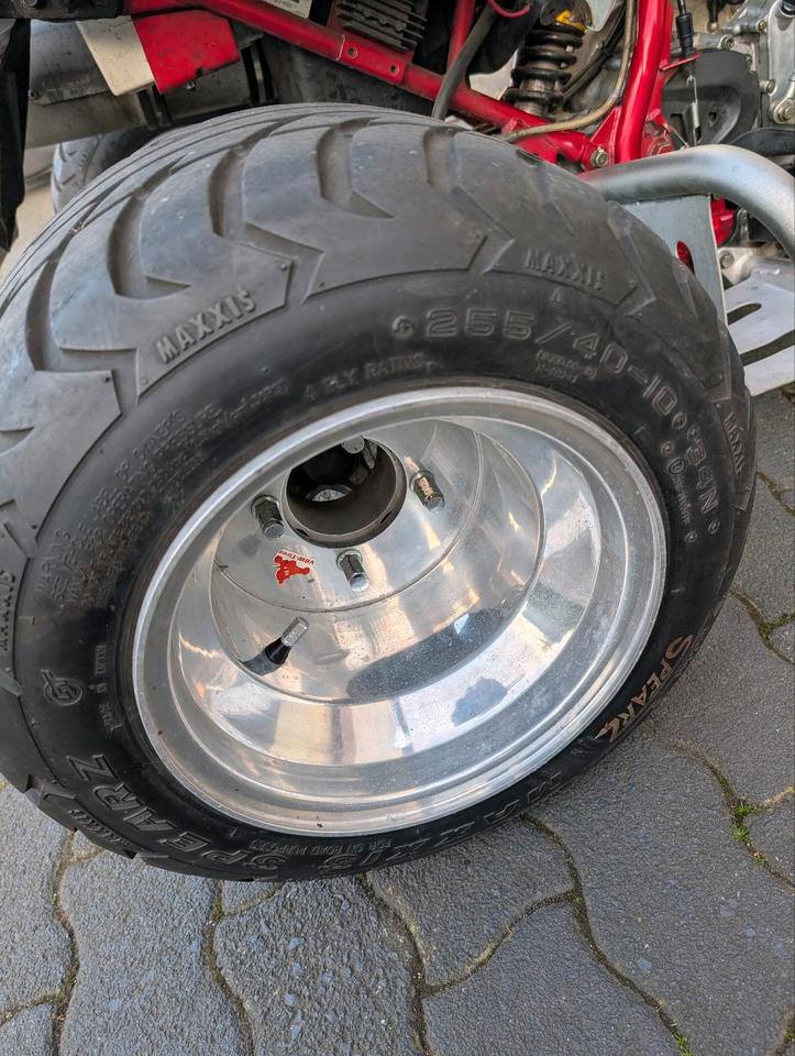  Quad TRITON 2008 — photo 10
