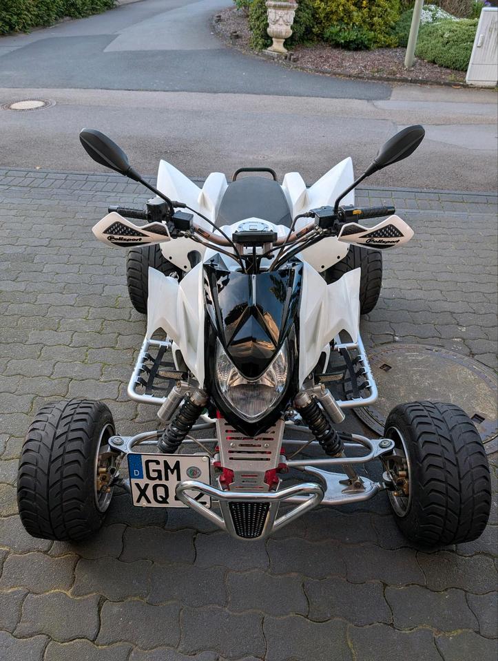  Quad TRITON 2008 — rear view