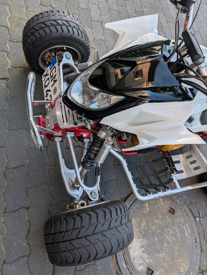  Quad TRITON 2008 — interior