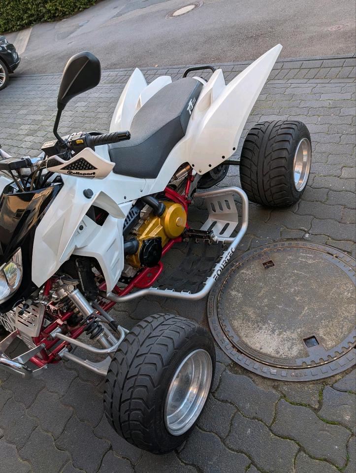  Quad TRITON 2008 — photo 5