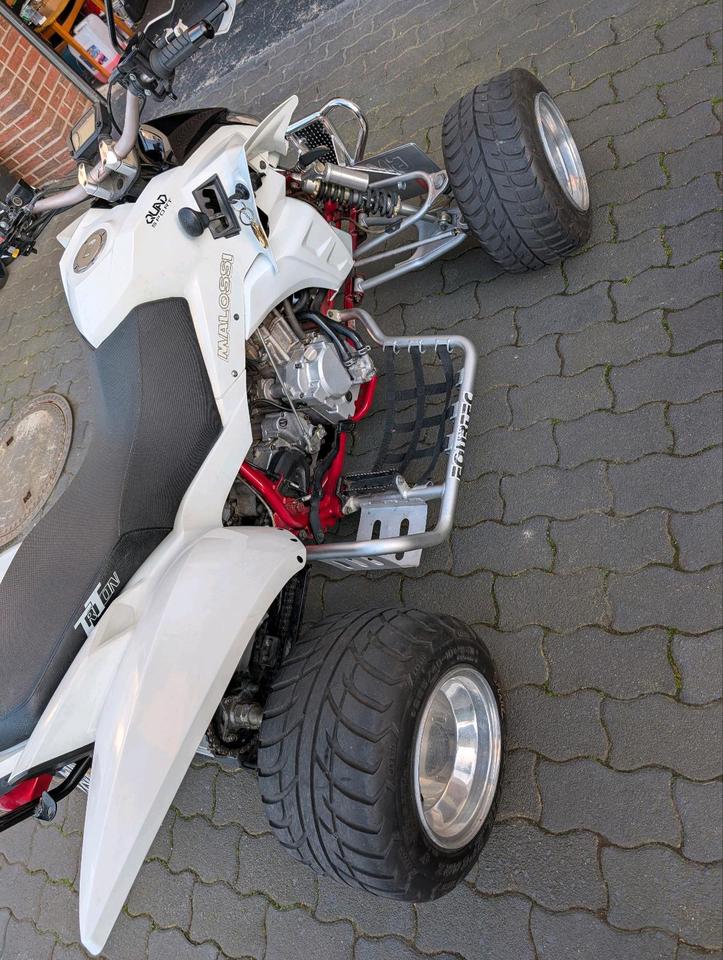  Quad TRITON 2008 — photo 6