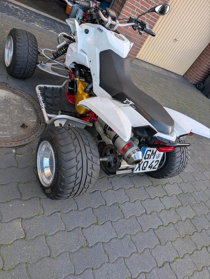  Quad TRITON 2008 — photo 7