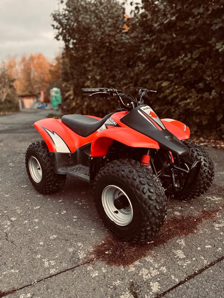 Suzuki LT 50 Kinderquad Quad Kinder ab 3 Jahre 2006 — вигляд ззаду