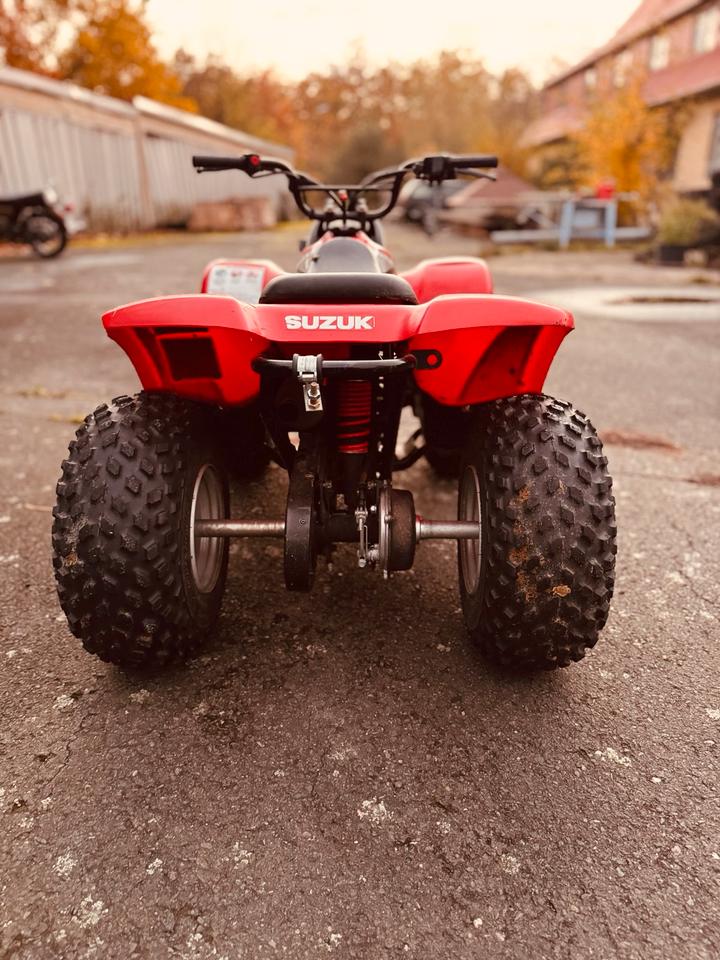Suzuki LT 50 Kinderquad Quad Kinder ab 3 Jahre 2006 — двигун