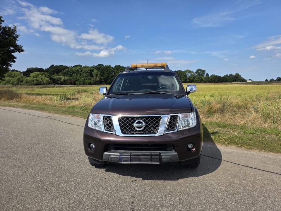 Nissan Navara 2012 — rear view