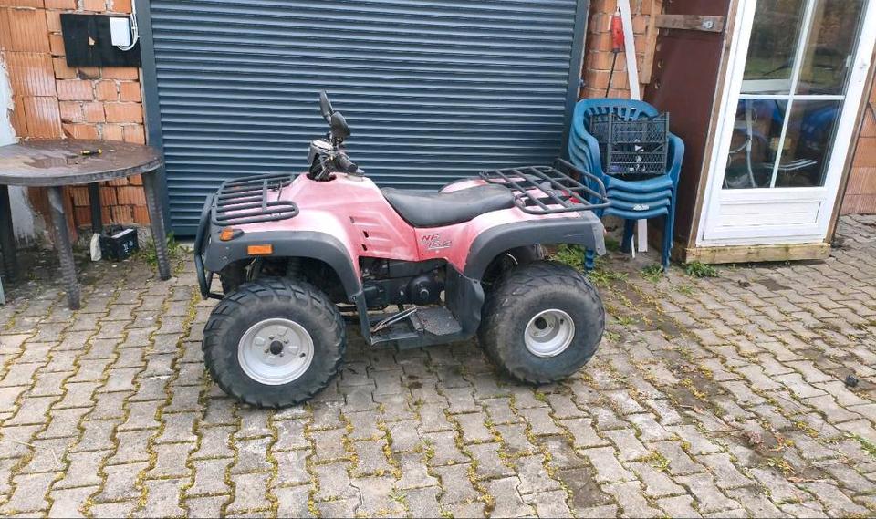 Weitere Motorräder Universal NF 150 ccm Quad - Bastlerfahrzeug / Gebraucht 2004 — rear view