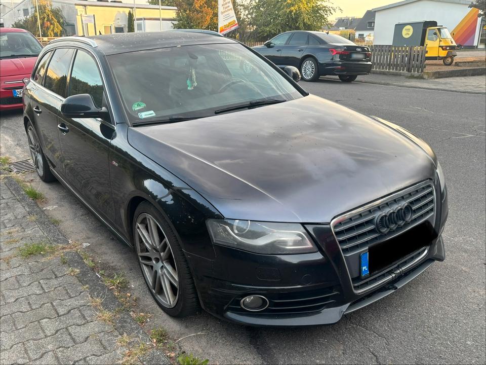 Audi A4 2008 — вигляд ззаду