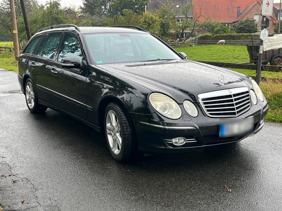 Mercedes Benz E 280 2009 — rear view