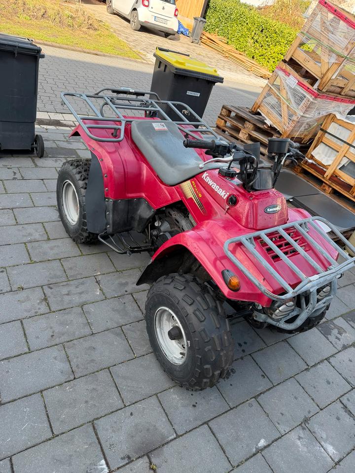 Kawasaki Quad KLF250A BJ2013 2013 — rear view
