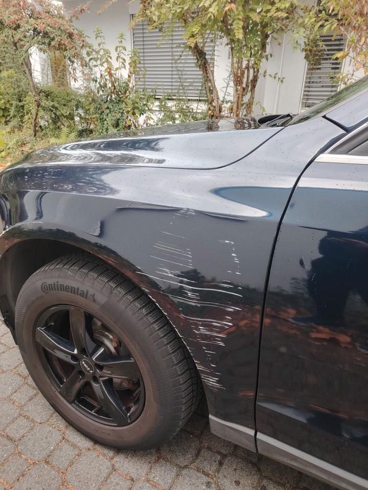 Audi Q5 2009 — photo 12