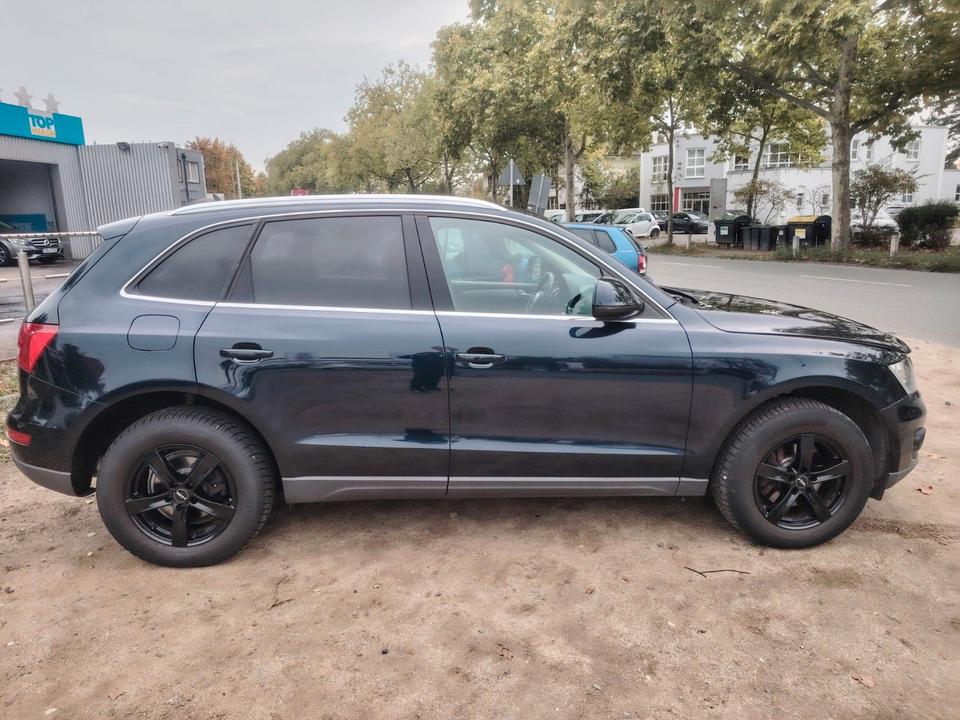 Audi Q5 2009 — rear view