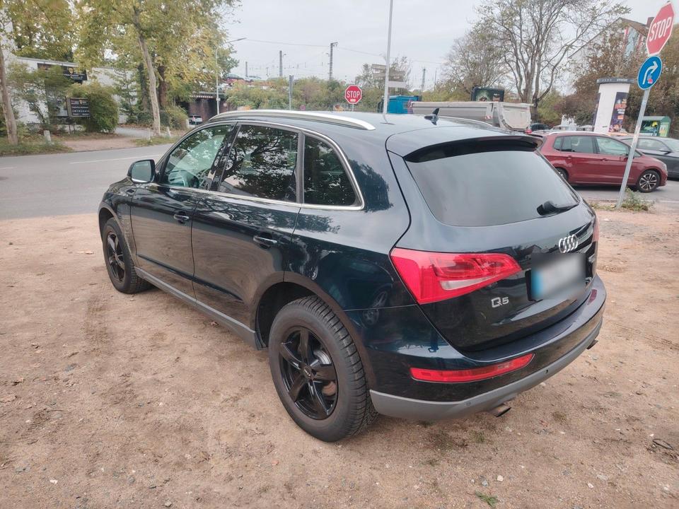 Audi Q5 2009 — photo 5