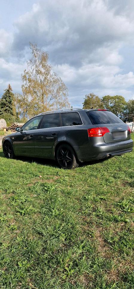Audi A4 2008 — rear view