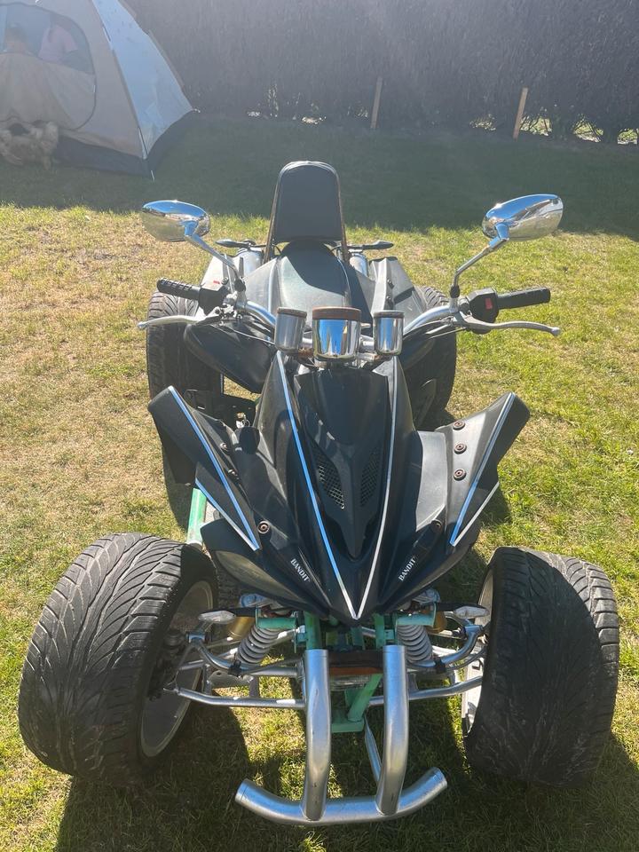 Weitere Motorräder Quad 250 ccm 2010 — rear view