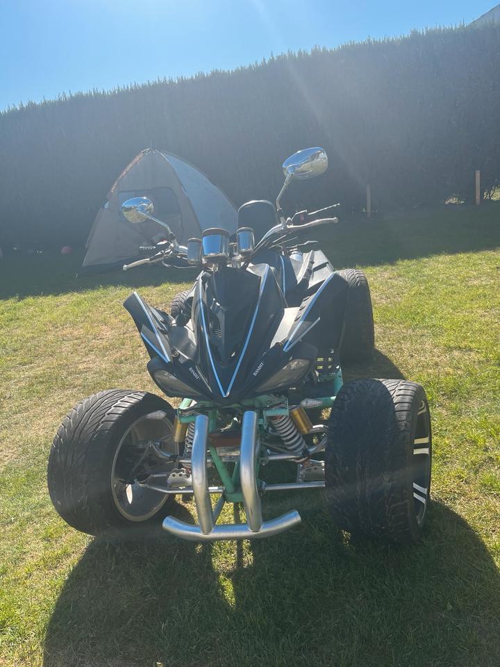 Weitere Motorräder Quad 250 ccm 2010 — interior