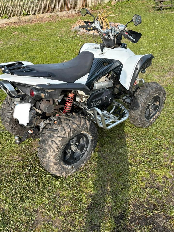 Weitere Motorräder TGB Target 525 4x4 LOF Limited Edition 2010 — photo 5