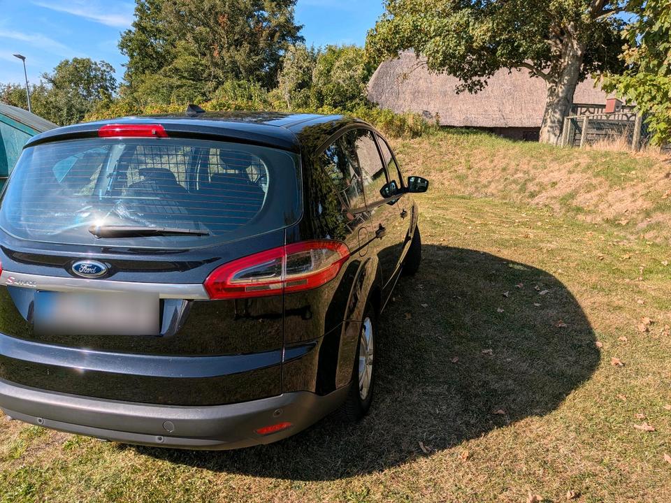 Ford S-Max 2013 — rear view