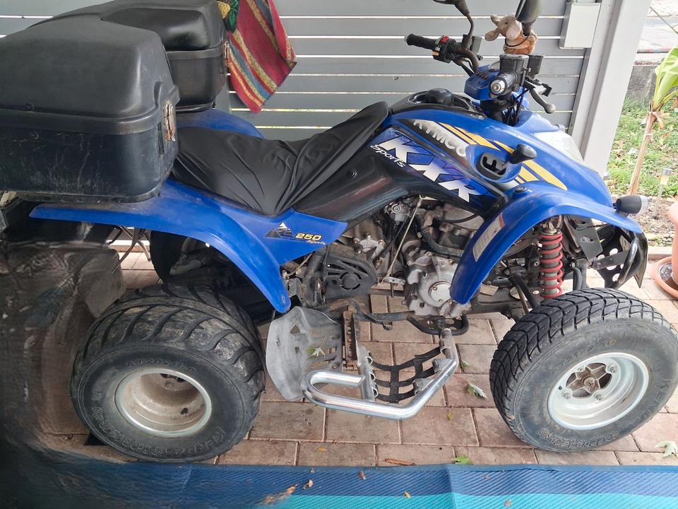 Kymco Meine Kymco 250 Sport "Angelina" | Nur 6.700 km | TÜV bis 10/2028 2005 — авто для ЗСУ з Європи