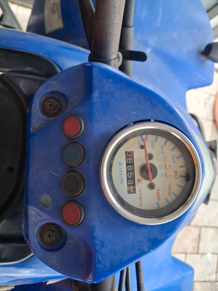Kymco Meine Kymco 250 Sport "Angelina" | Nur 6.700 km | TÜV bis 10/2028 2005 — вигляд ззаду
