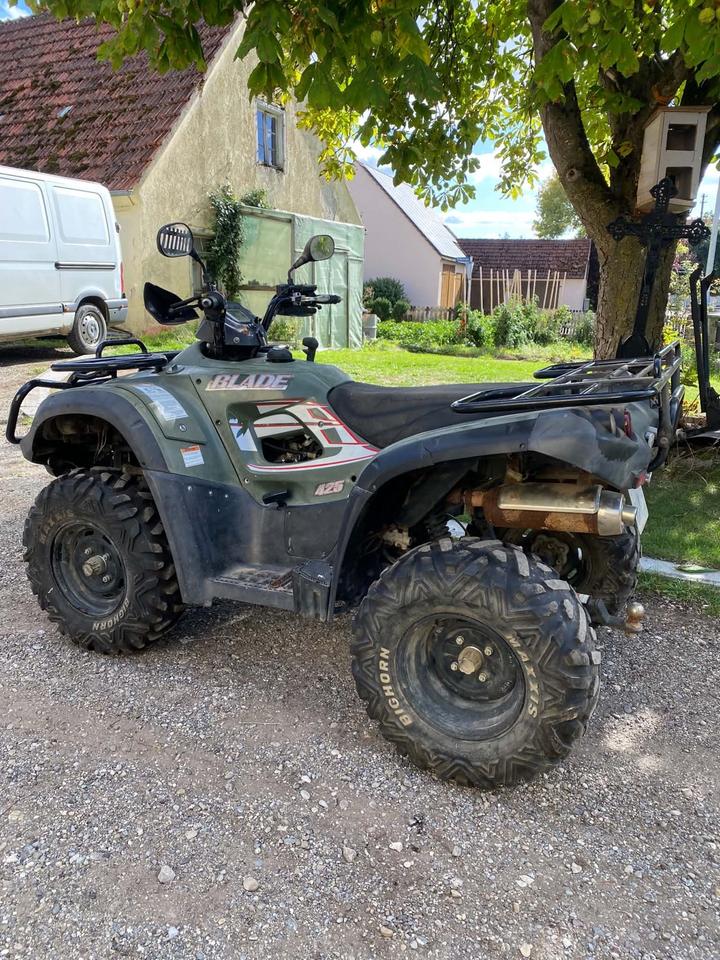 Weitere Motorräder Gelöscht • Quad/Atv TGB BLADE 425 2009 — interior