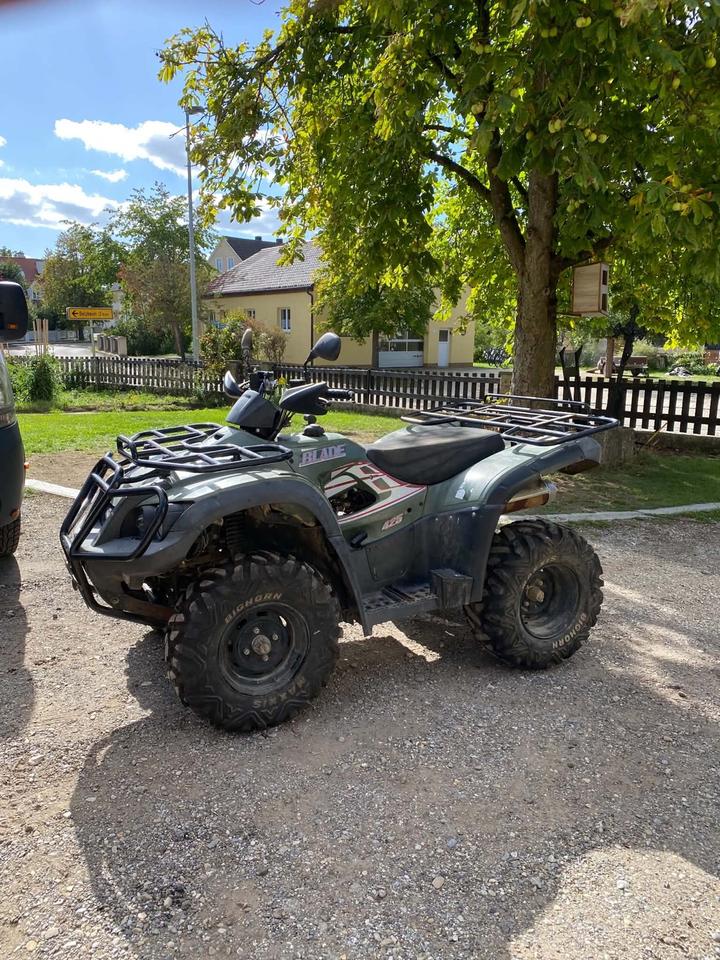 Weitere Motorräder Gelöscht • Quad/Atv TGB BLADE 425 2009 — photo 9