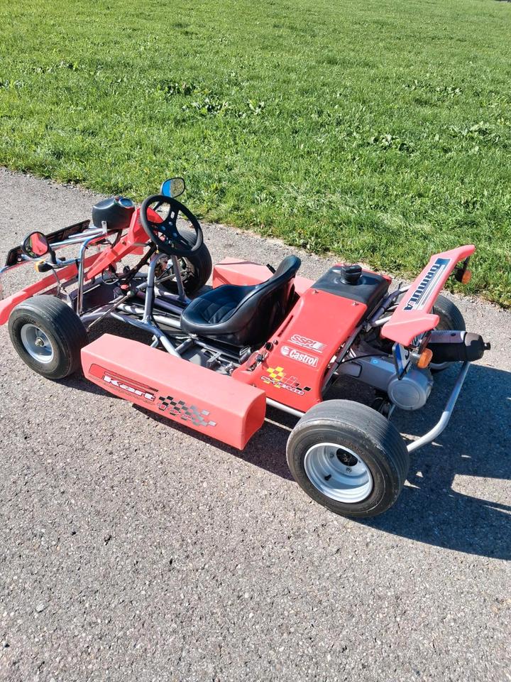 Weitere Motorräder F-Kart 100 2007 — rear view