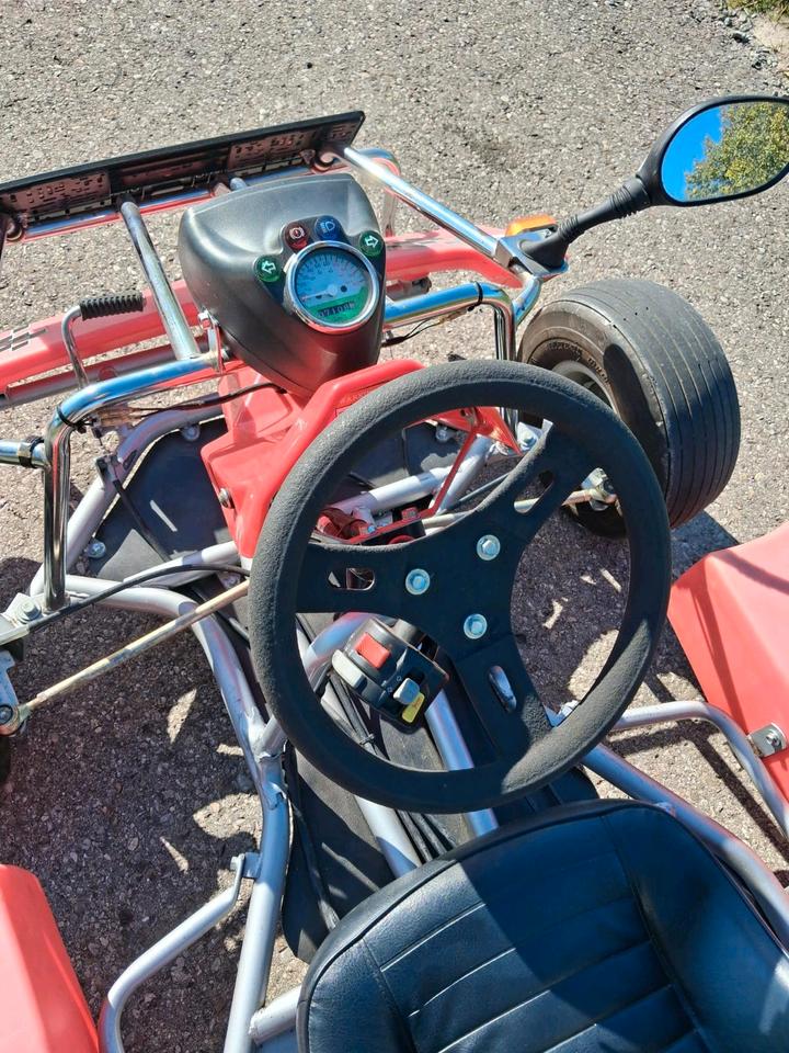 Weitere Motorräder F-Kart 100 2007 — engine 100 ccm