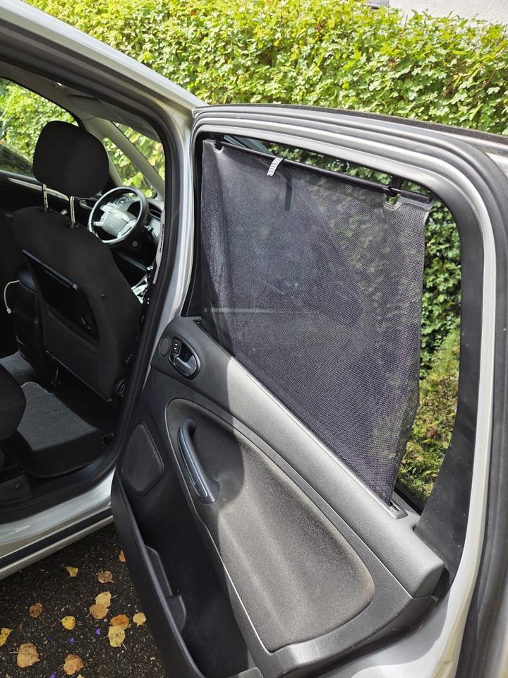 Ford S-Max 2010 — photo 15