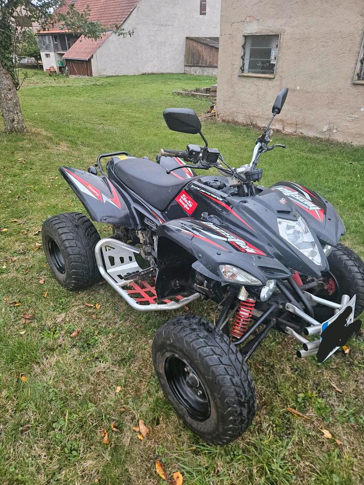 Weitere Motorräder Quad Beeline Bestia 5.5 mit LOF Zulassung 2013 — rear view