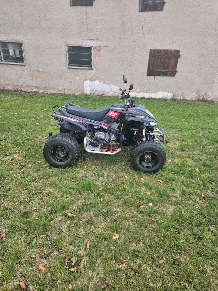 Weitere Motorräder Quad Beeline Bestia 5.5 mit LOF Zulassung 2013 — photo 5