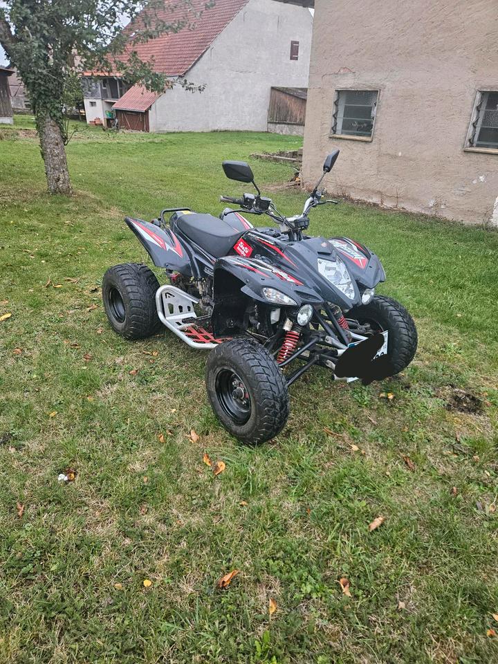 Weitere Motorräder Quad Beeline Bestia 5.5 mit LOF Zulassung 2013 — photo 6