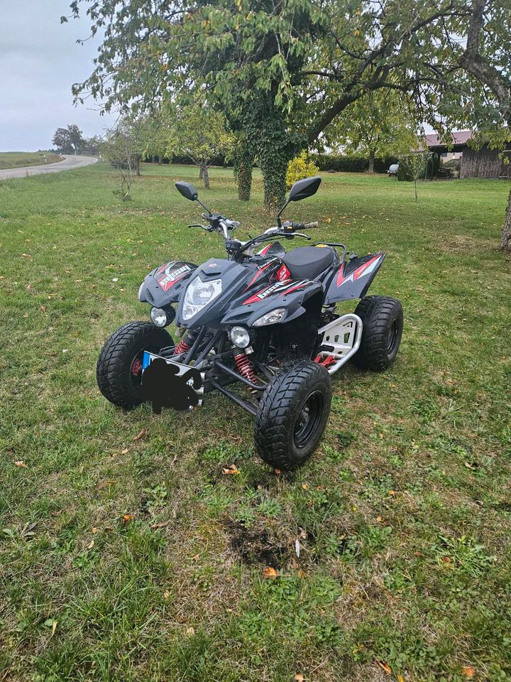 Weitere Motorräder Quad Beeline Bestia 5.5 mit LOF Zulassung 2013 — photo 7