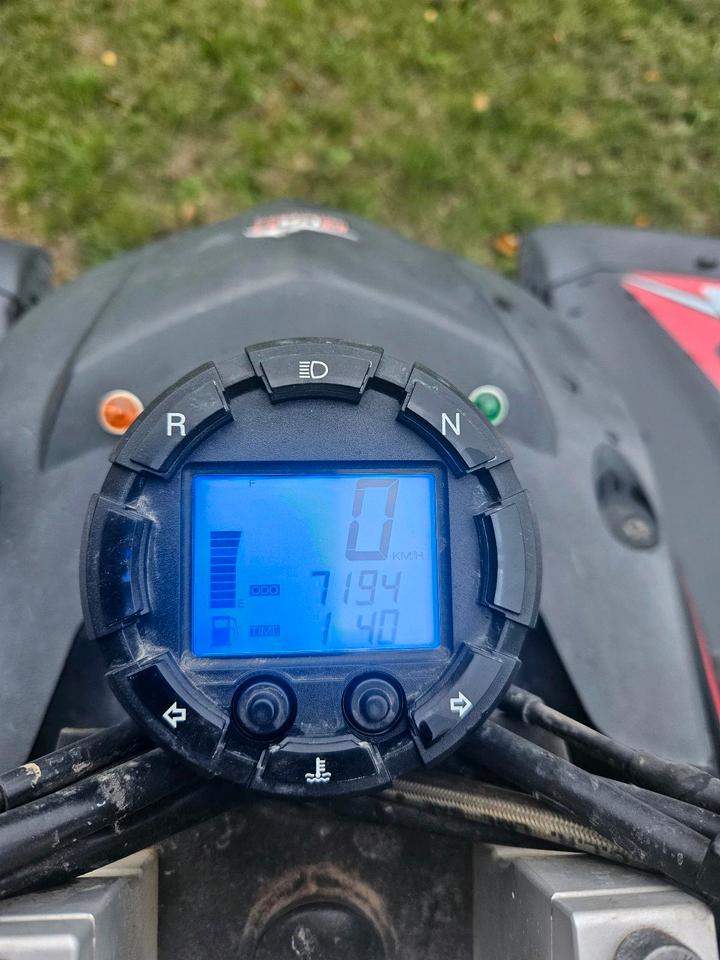 Weitere Motorräder Quad Beeline Bestia 5.5 mit LOF Zulassung 2013 — photo 8