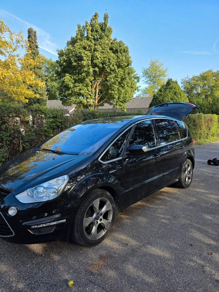 Ford S-Max 2011 — вигляд ззаду