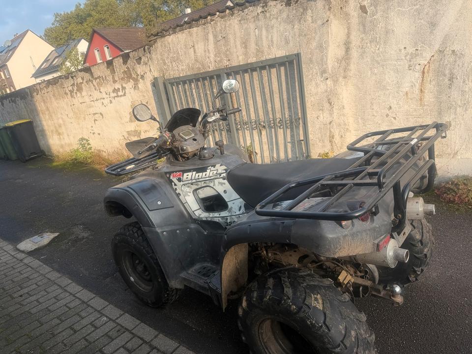  TGB BLADE 325 4x2 LOF Zulassung { ohne Papiere } 2011 — двигун 325 ccm