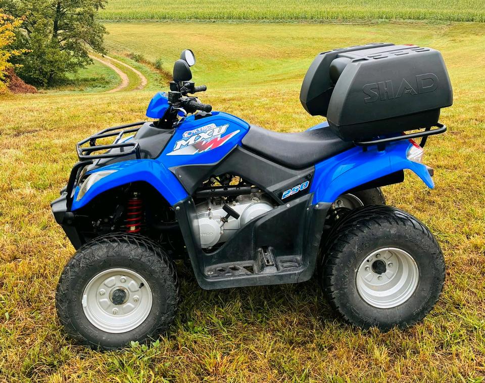 Kymco Quad Kymco MXU 250, 2009