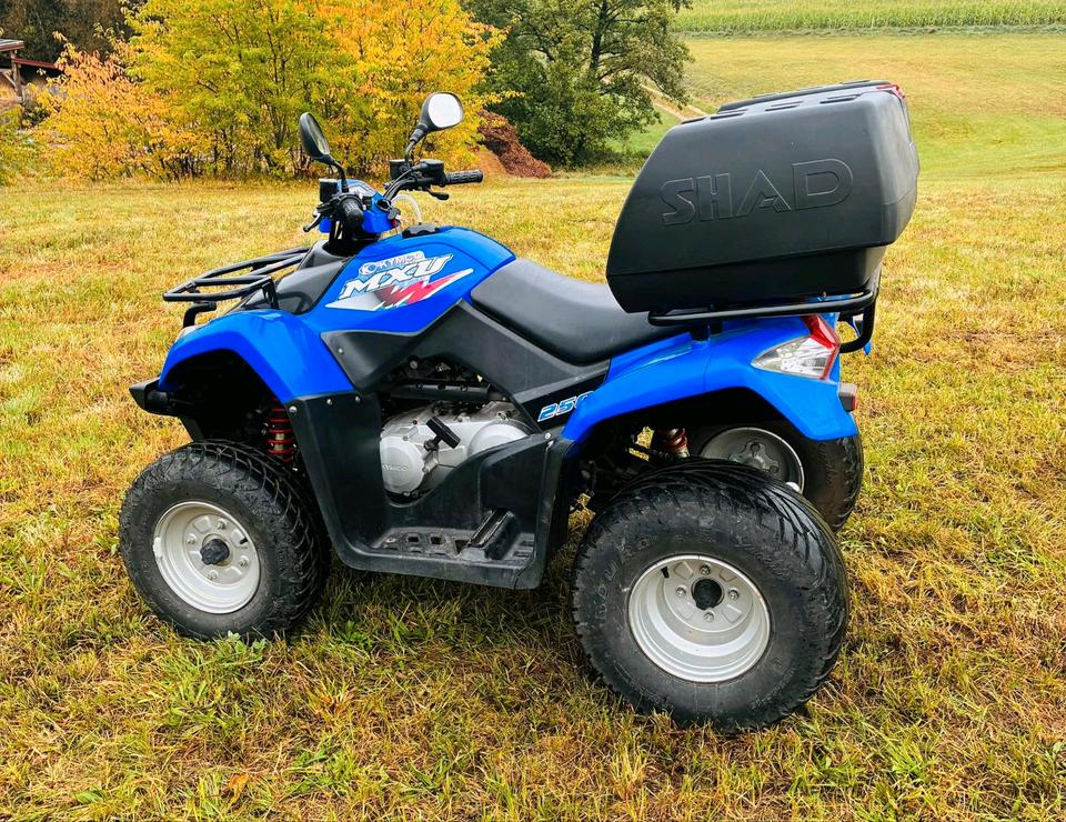 Kymco Quad Kymco MXU 250 2009 — rear view