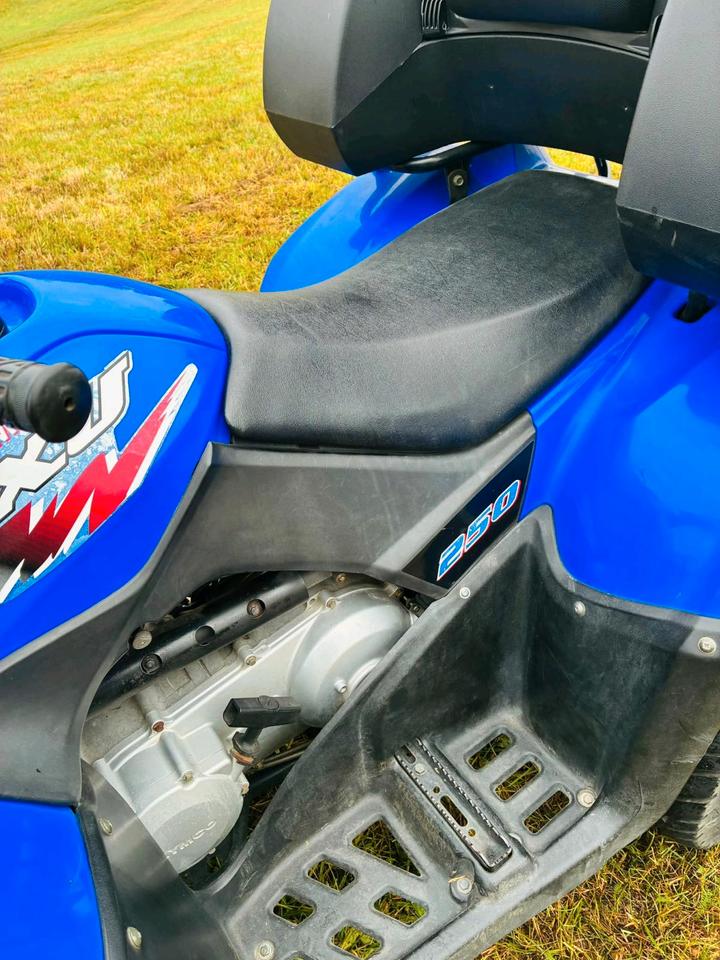 Kymco Quad Kymco MXU 250 2009 — photo 5