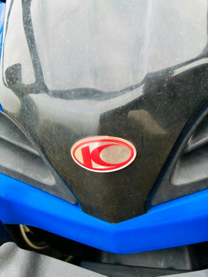 Kymco Quad Kymco MXU 250 2009 — photo 6