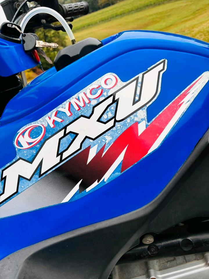 Kymco Quad Kymco MXU 250 2009 — photo 7