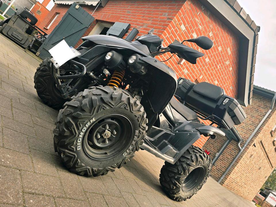 Weitere Motorräder TGB Quadt 4x4 500ccm 2012 — rear view
