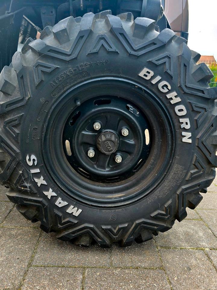 Weitere Motorräder TGB Quadt 4x4 500ccm 2012 — photo 7