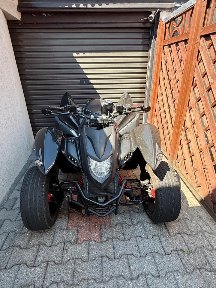  Adly atv 330 s 2009 — rear view