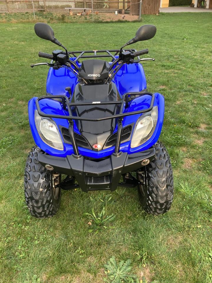 Kymco MXU 250 S Quad 2007 — вигляд ззаду