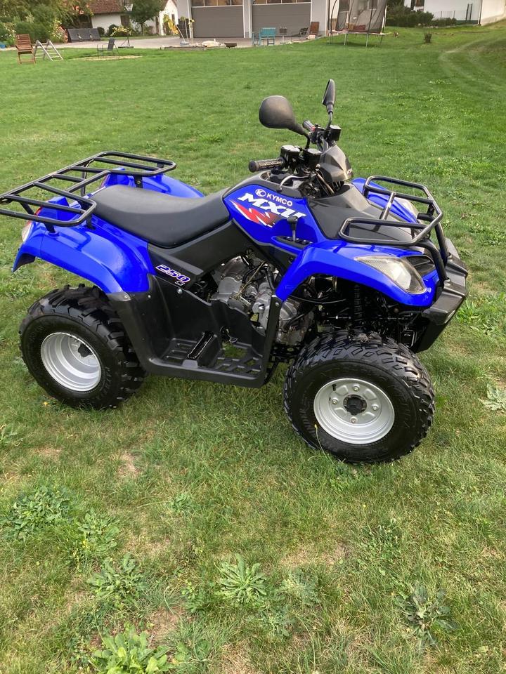 Kymco MXU 250 S Quad 2007 — двигун 249 ccm