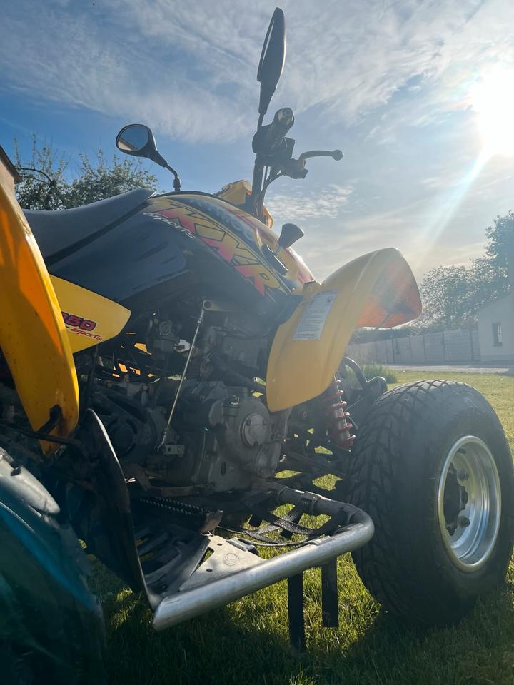 Kymco Quad Kymco KXR 250 Sport | TÜV bis Juni 2028 | Werkstattgepflegt 2005 — vehicle for AFU Ukraine