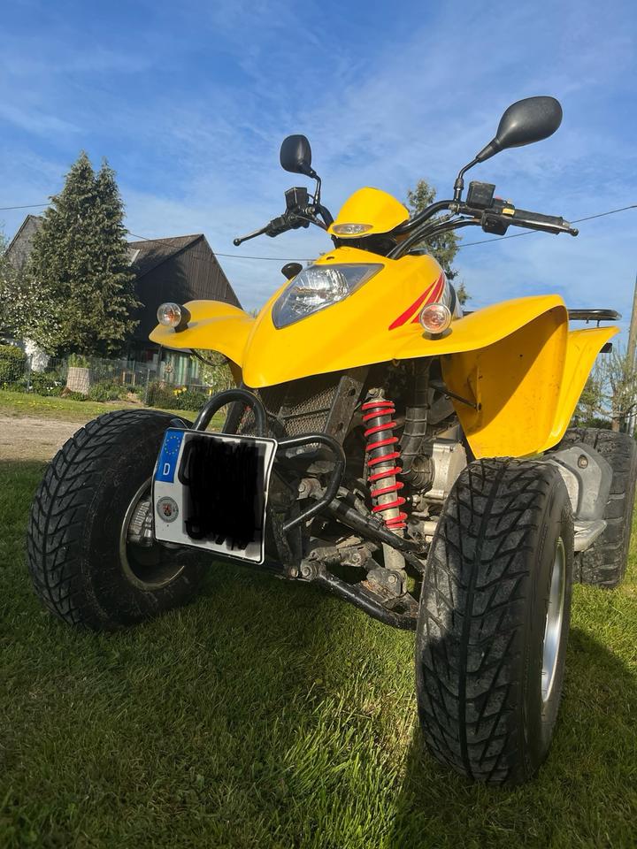 Kymco Quad Kymco KXR 250 Sport | TÜV bis Juni 2028 | Werkstattgepflegt 2005 — rear view