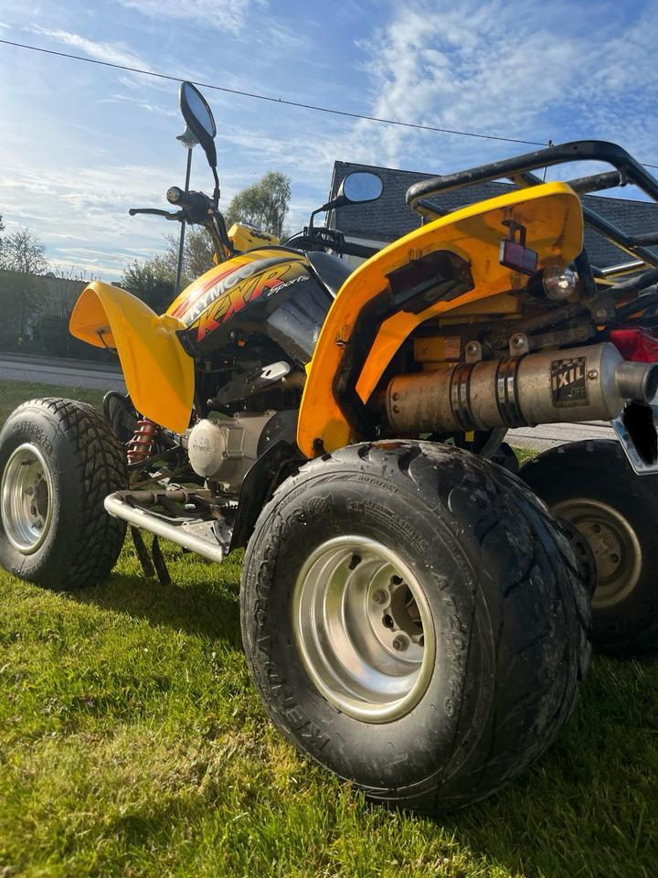 Kymco Quad Kymco KXR 250 Sport | TÜV bis Juni 2028 | Werkstattgepflegt 2005 — interior